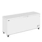 Diepvrieskist CF700 SL